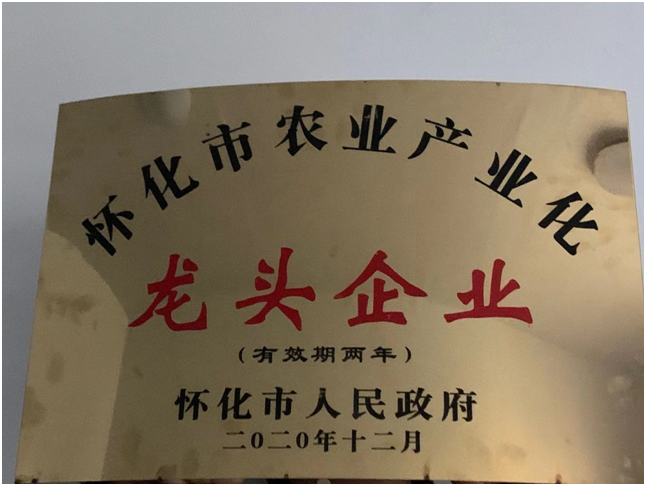 指导农业龙头企业特别是省级,市级农业龙头企业积极发挥龙头带动作用